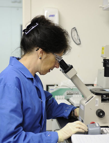 Celldex Scientist looking in microscope
